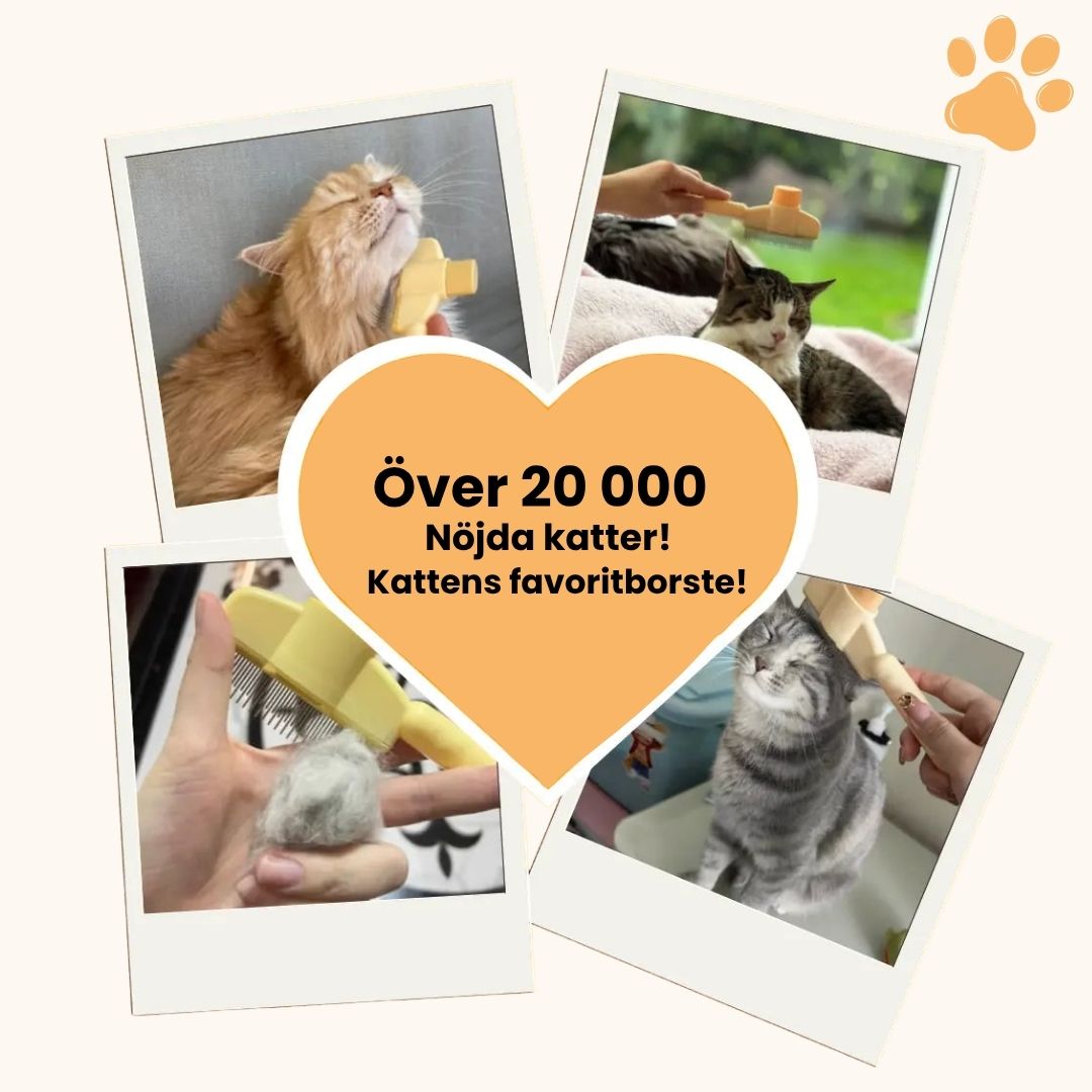 KittyBrush™ - Borsten som fångar upp katthår