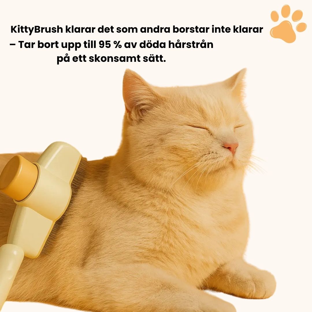 KittyBrush™ - Borsten som fångar upp katthår