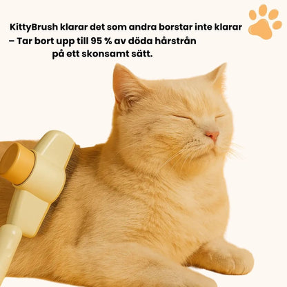 KittyBrush™ - Borsten som fångar upp katthår