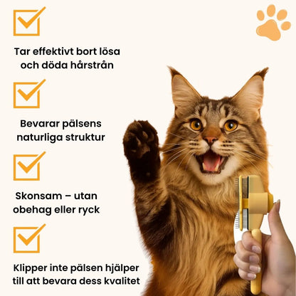 KittyBrush™ - Borsten som fångar upp katthår
